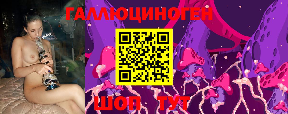 Псилоцибиновые грибы мухоморы Великие Луки